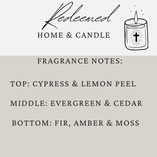 Limited Edition Fraser Fir